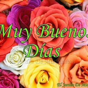 Meet your Posher, Walkiria